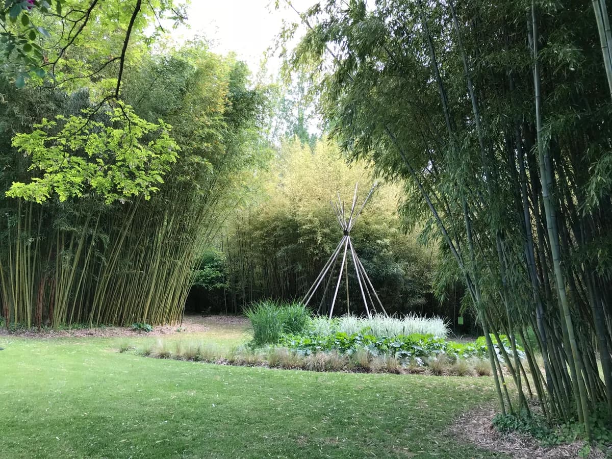 "Le parc aux bambous" 09 Lapenne